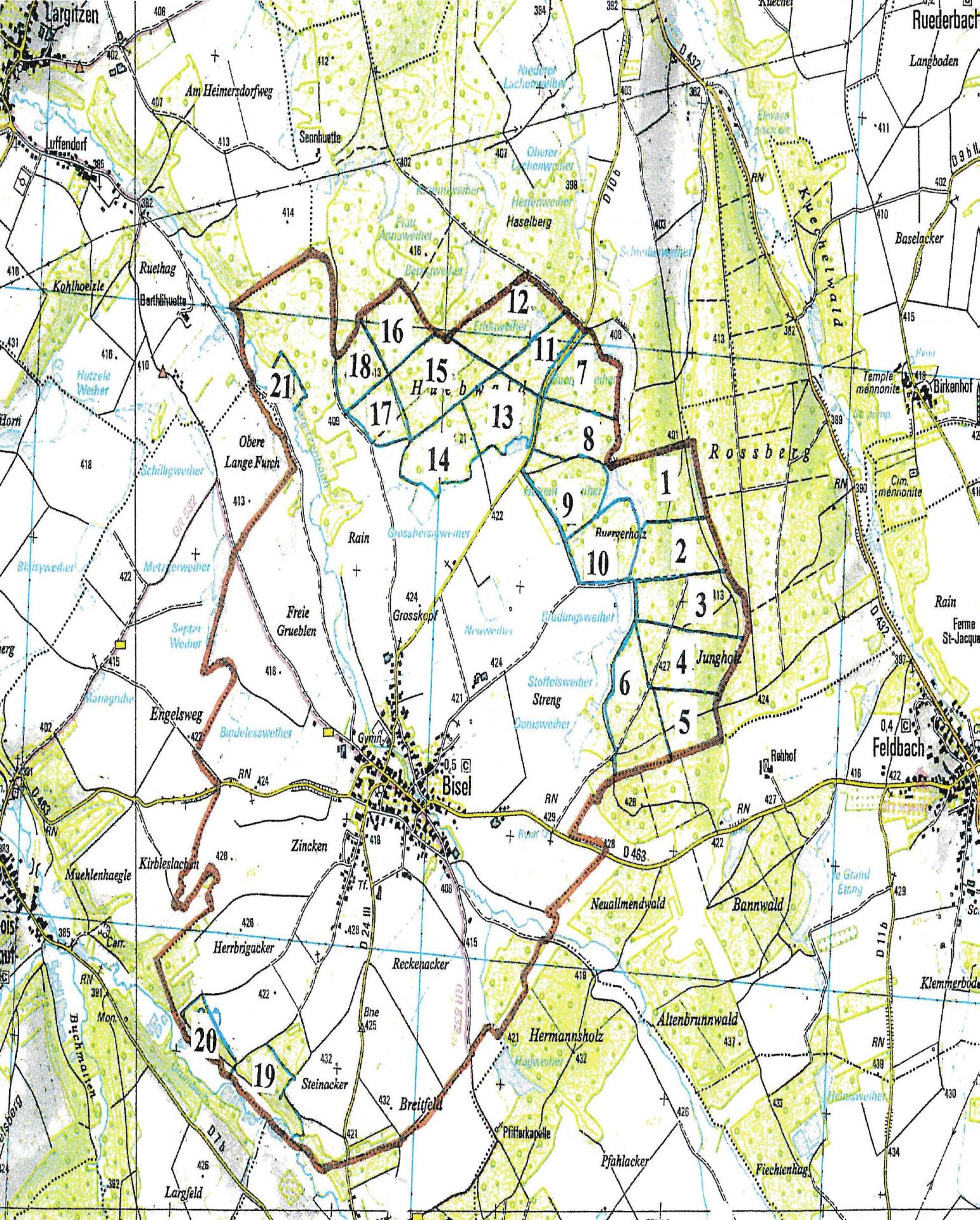 Plan foret 1