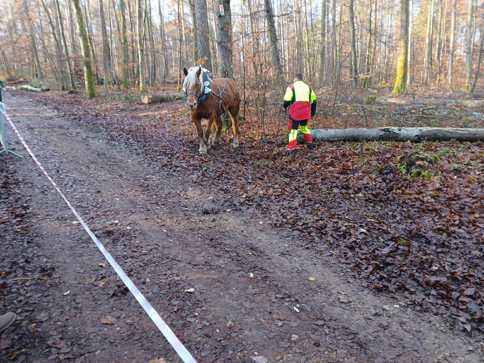 204eae7c 3613 48ca bf5d 4d1383aa1138