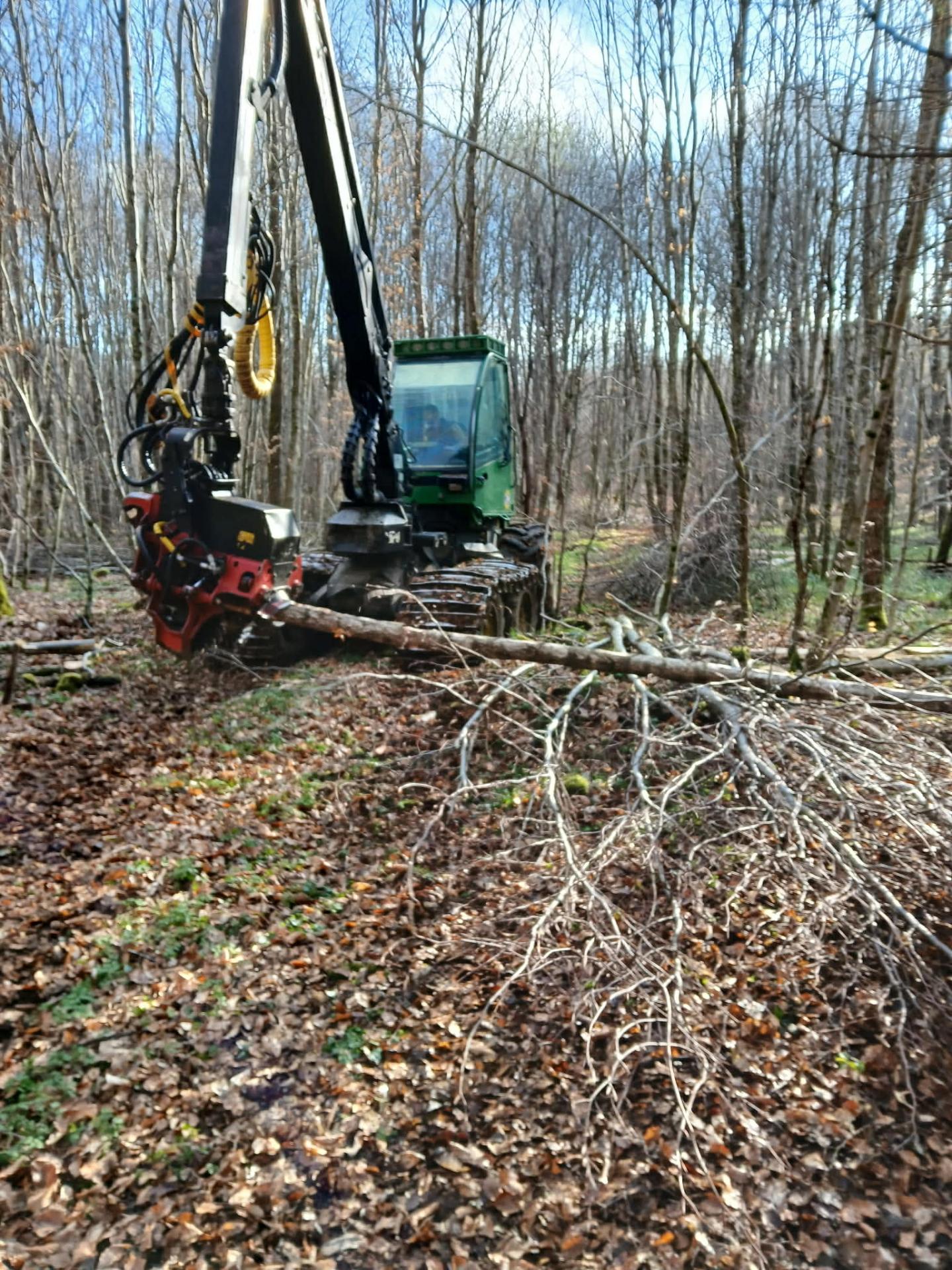 81e001ec 186d 4f15 a6eb c9f6a1e49a23