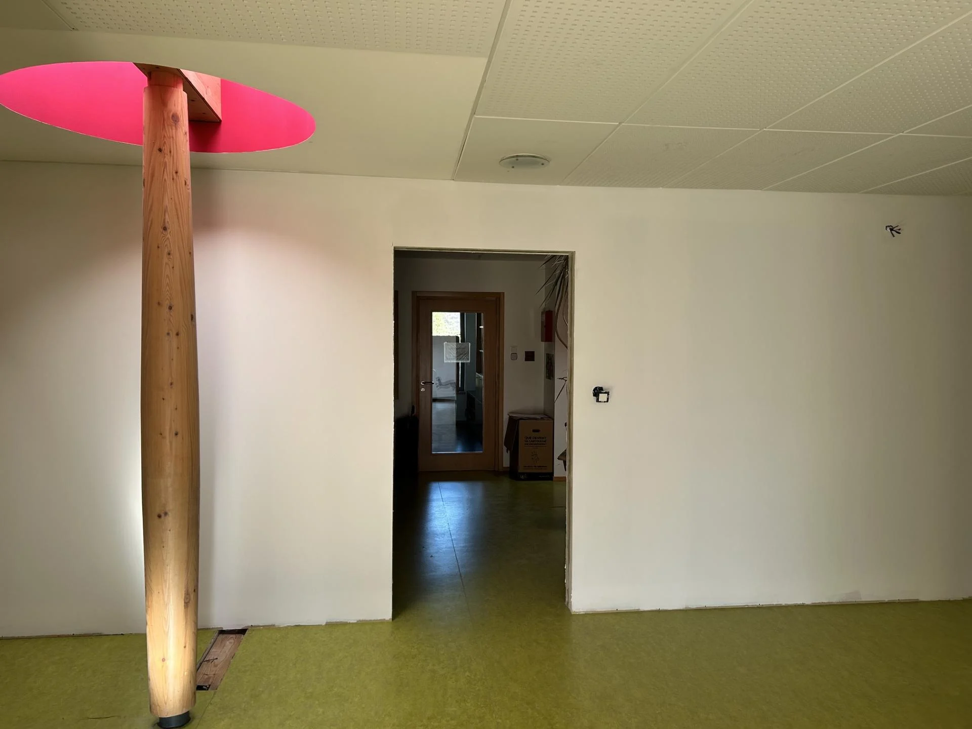 Img 0555